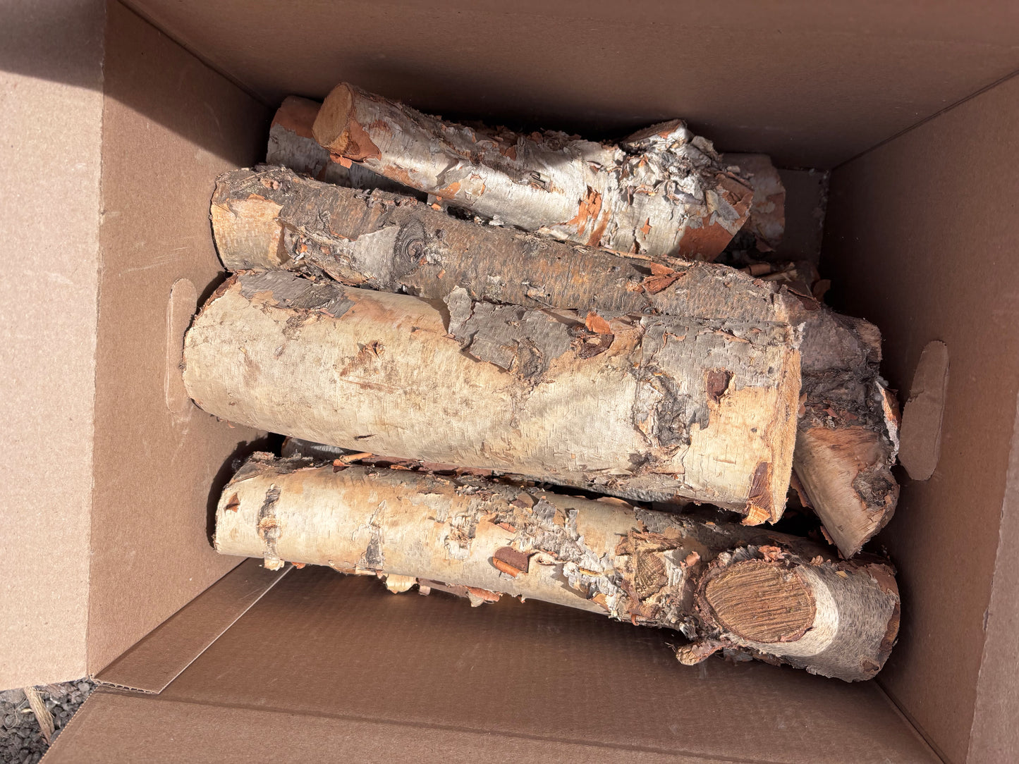 Decorative Birch Logs
