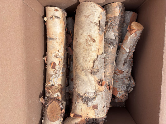 Decorative Birch Logs