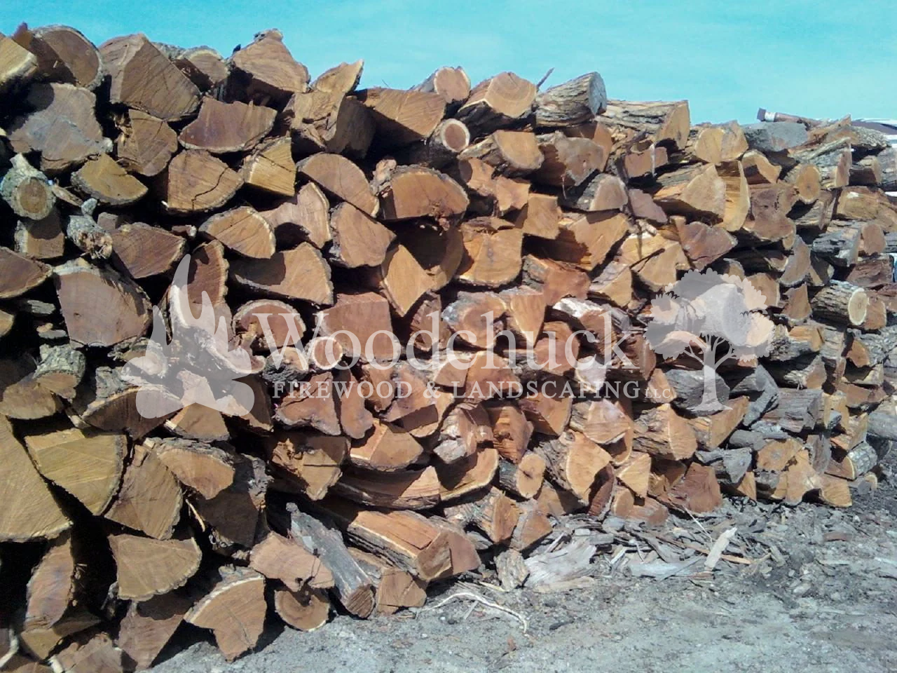 Hedge (Osage Orange) Firewood 1/3 cord