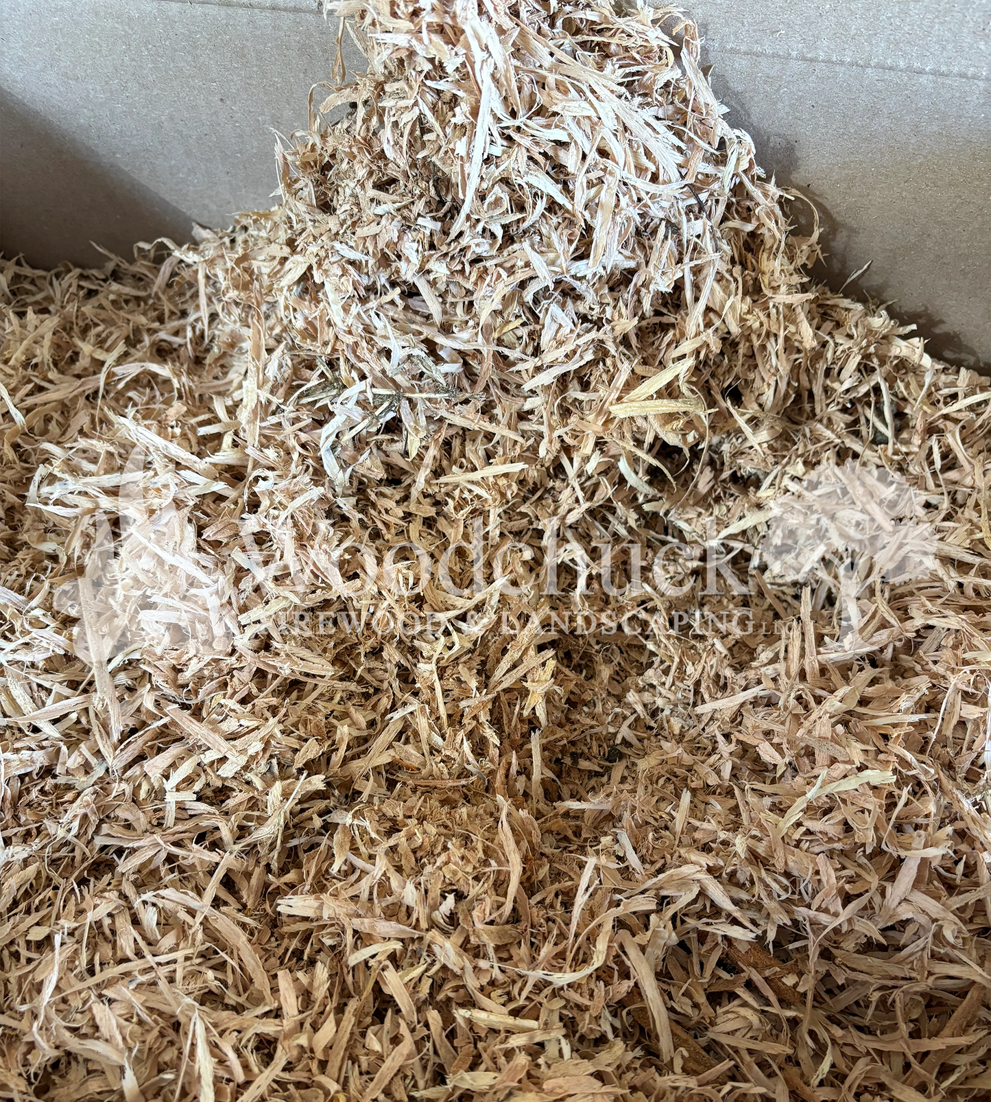 Wood Shavings