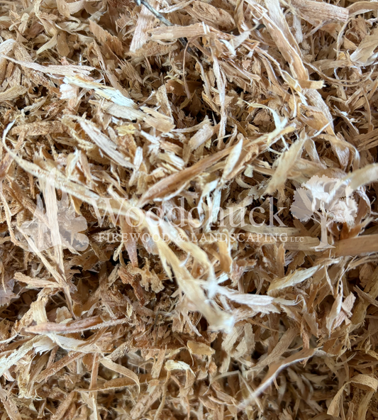Wood Shavings