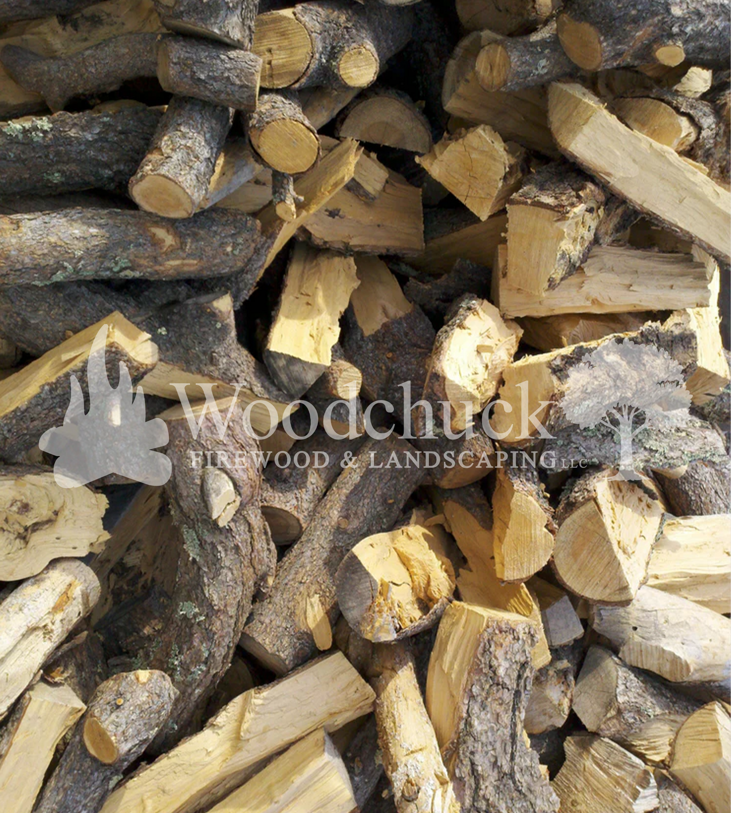 Pinion Logs 1/3 cord