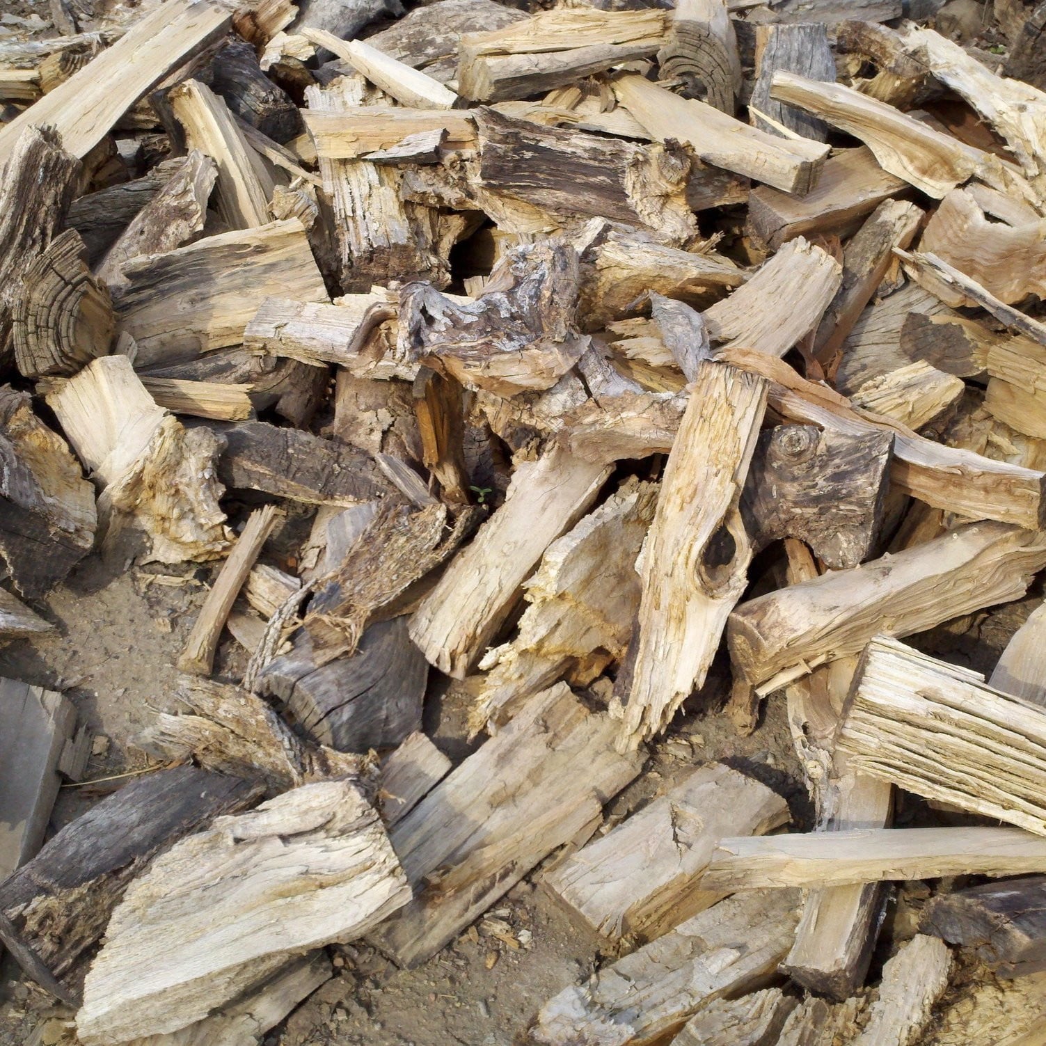 Camping and Outdoor Pit Firewood