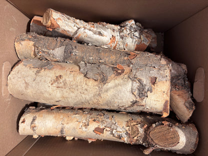 Decorative Birch Logs