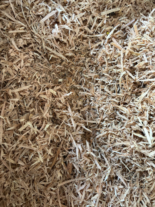 Wood Shavings