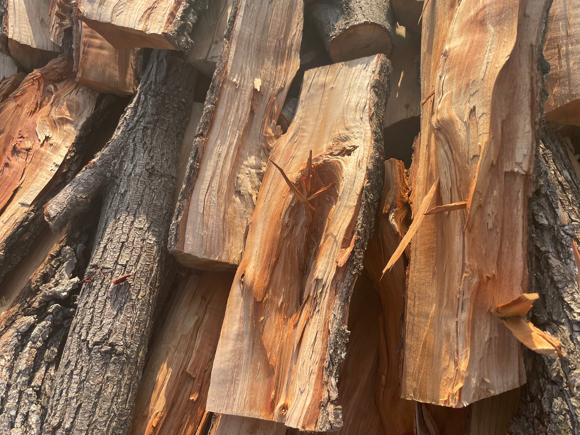 Pear logs 40lbs box – Woodchuck Firewood LLC