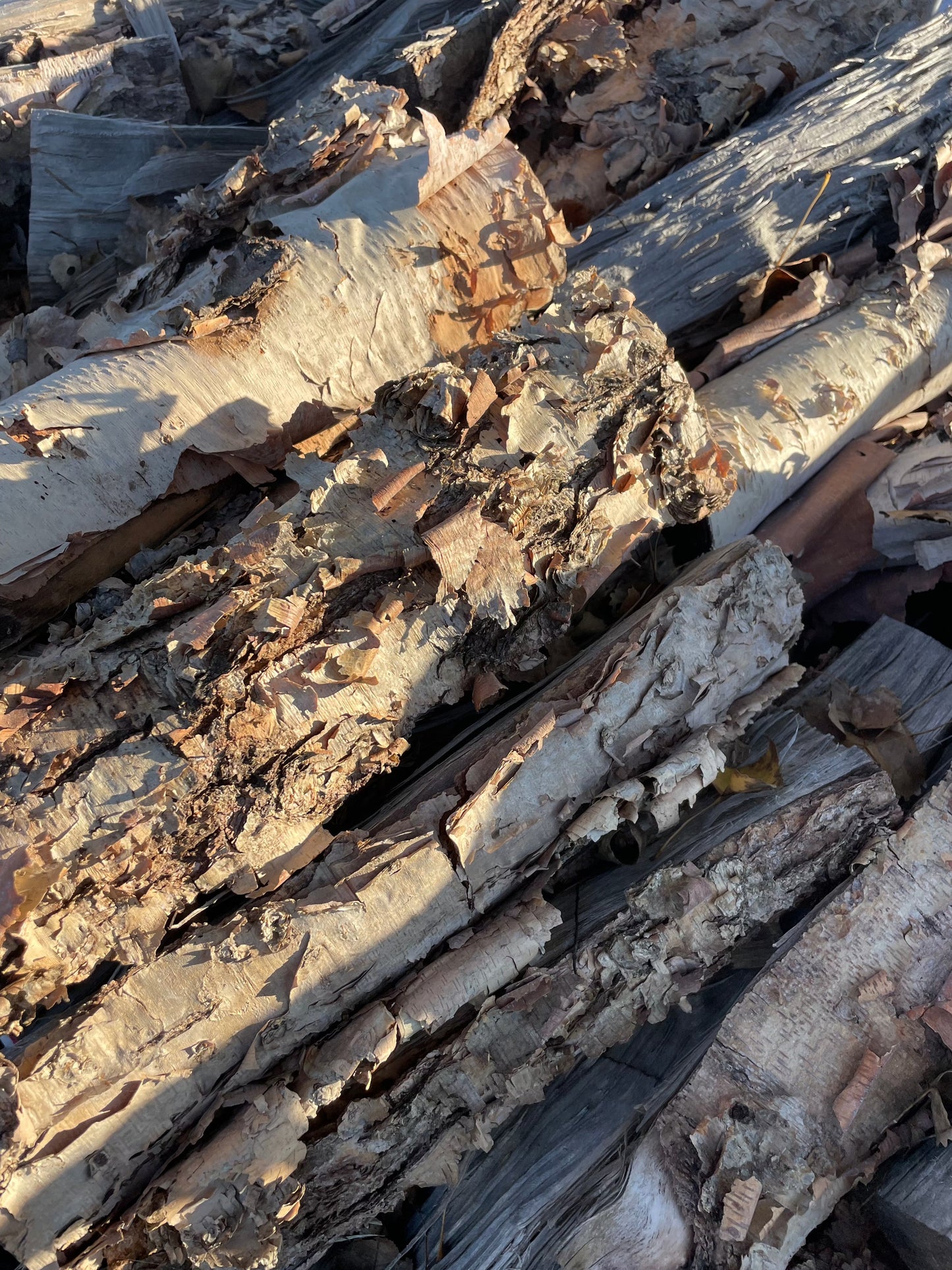 Birch Firewood 1/3 Cord