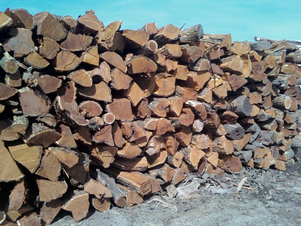 Heating hedge Osage orange firewood logs wood stoves